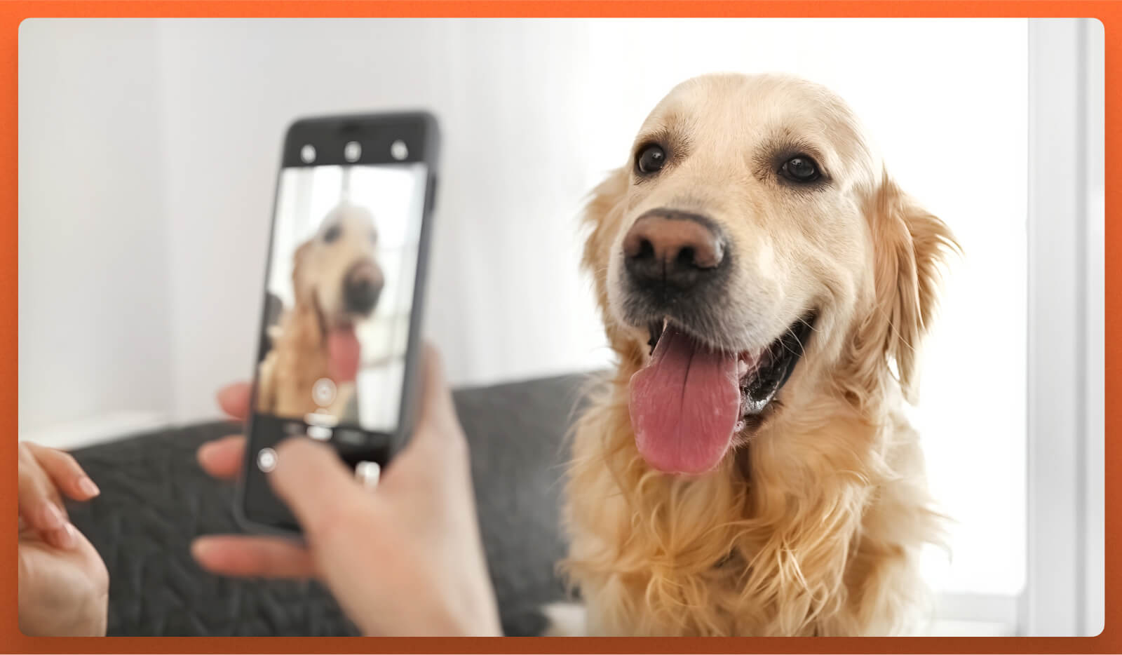 A pet care business owner sends a photo update of a smiling dog to reassure the pet owner. This gesture reinforces customer delight, indicating that their dog is safe, healthy, and happy at the facility.