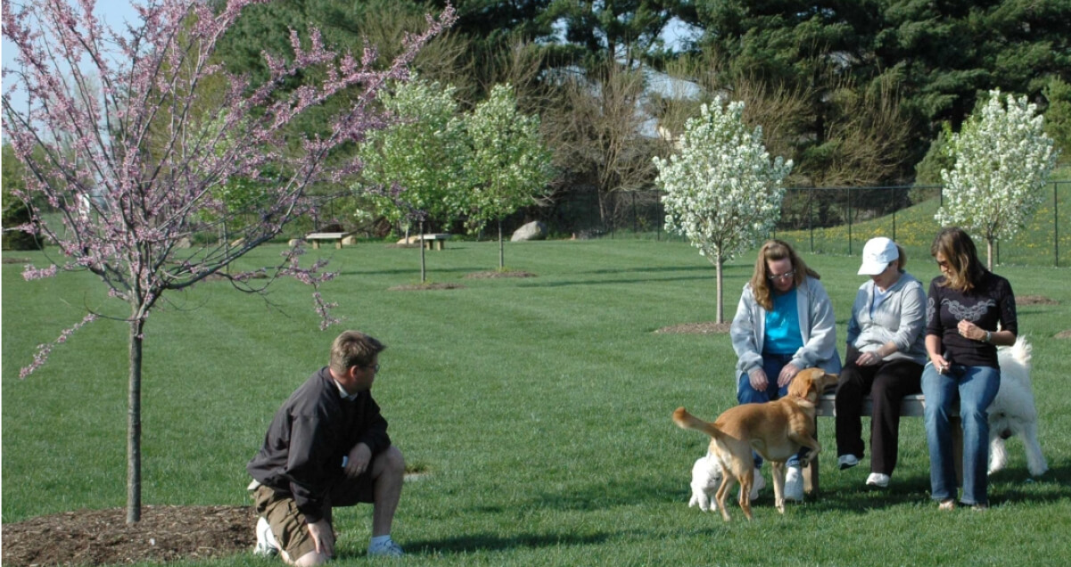 Beverly’s Pet Resort