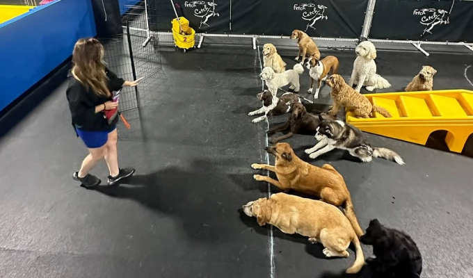 Pack Pro Training