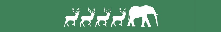 Cut Through The Clichés This Christmas A row of deer icons and one elephant icon in white on a green background.