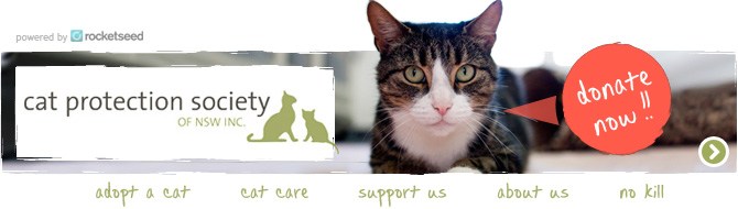 Donate-Now An email banner with the Cat Protection Society logo next to a photo of a cat with a speech bubble that reads "donate now!!", above a range of links to webpages.