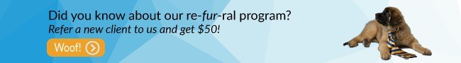Mirazon banner_ re_fur_ral Mirazon re-fur-ral email banner
