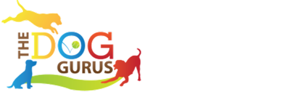 The Dog Gurus
