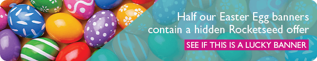 Seasonal smart banner example Seasonal smart banner example