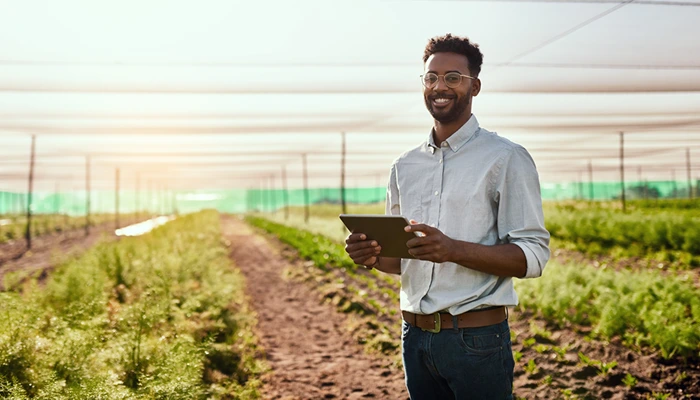 The Digital Revolution in Africa's Agricultural Sector 4 A black male wearing specs and a shirt standing in a greenhouse holding a tablet with rows of greenery in the background