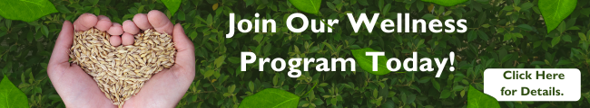 An email marketing banner that reads "Join our wellness program today!" with a call to action that reads "click here for details" featuring a hand holding seeds that forms the shape of a heart